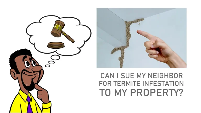 Can I sue My Neighbor for Termites: will I get them | Tented House