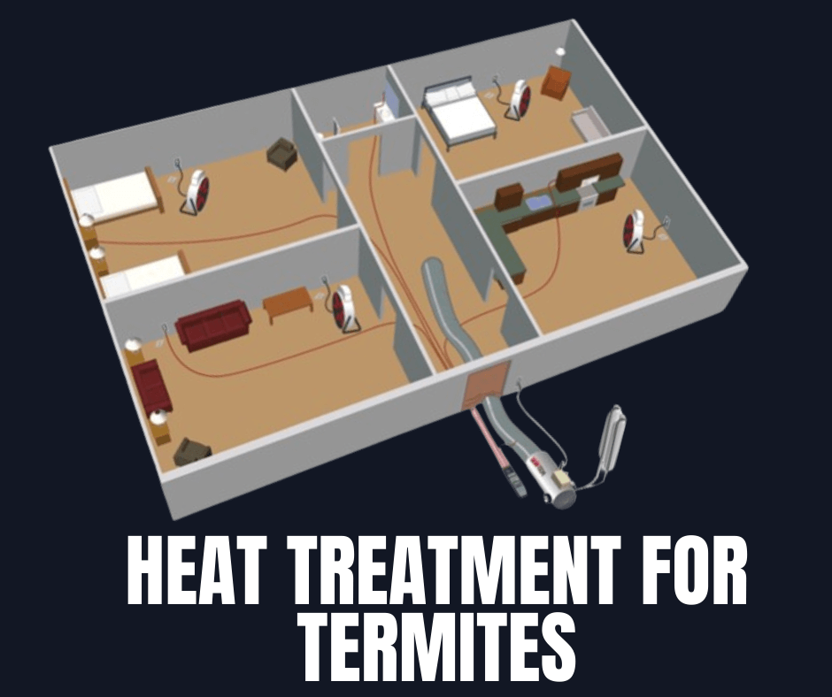Heat Treatment for Termites