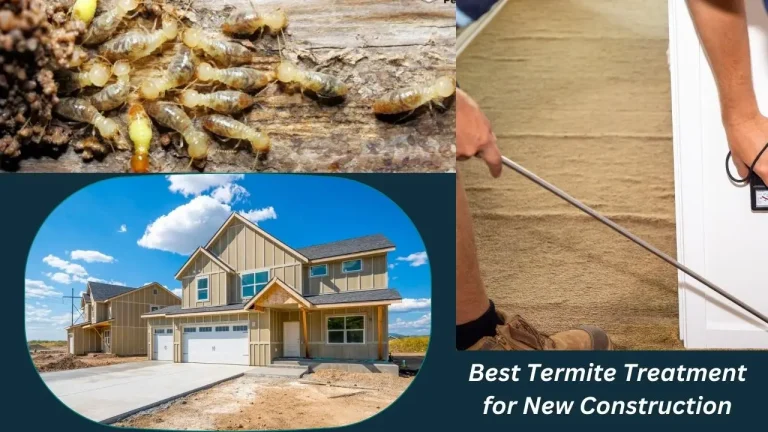 Best Termite Treatment for New Construction: Termite Pre Treatment