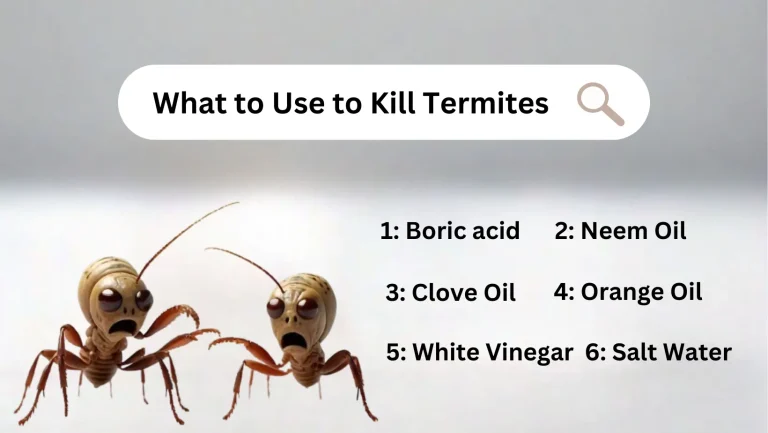 What to Use to Kill Termites: Best Sprays & Tips to Get Rid