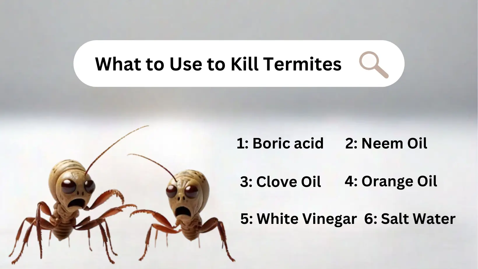 What to Use to Kill Termites